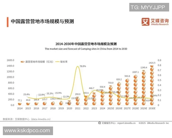 南京极限运动队的转型之路与未来发展趋势分析