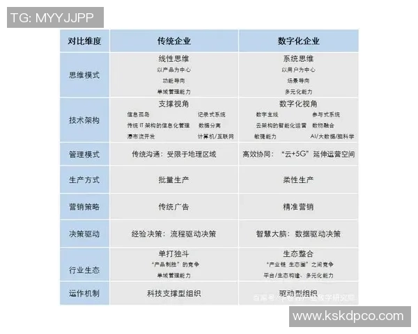 南京排球队的战术变革与球员转型深度解析