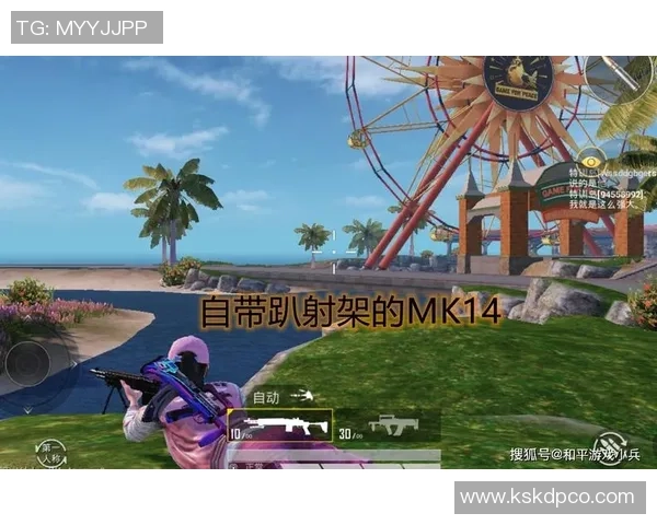 和平精英战术解析：深入探讨TES在阵地战中的策略与执行